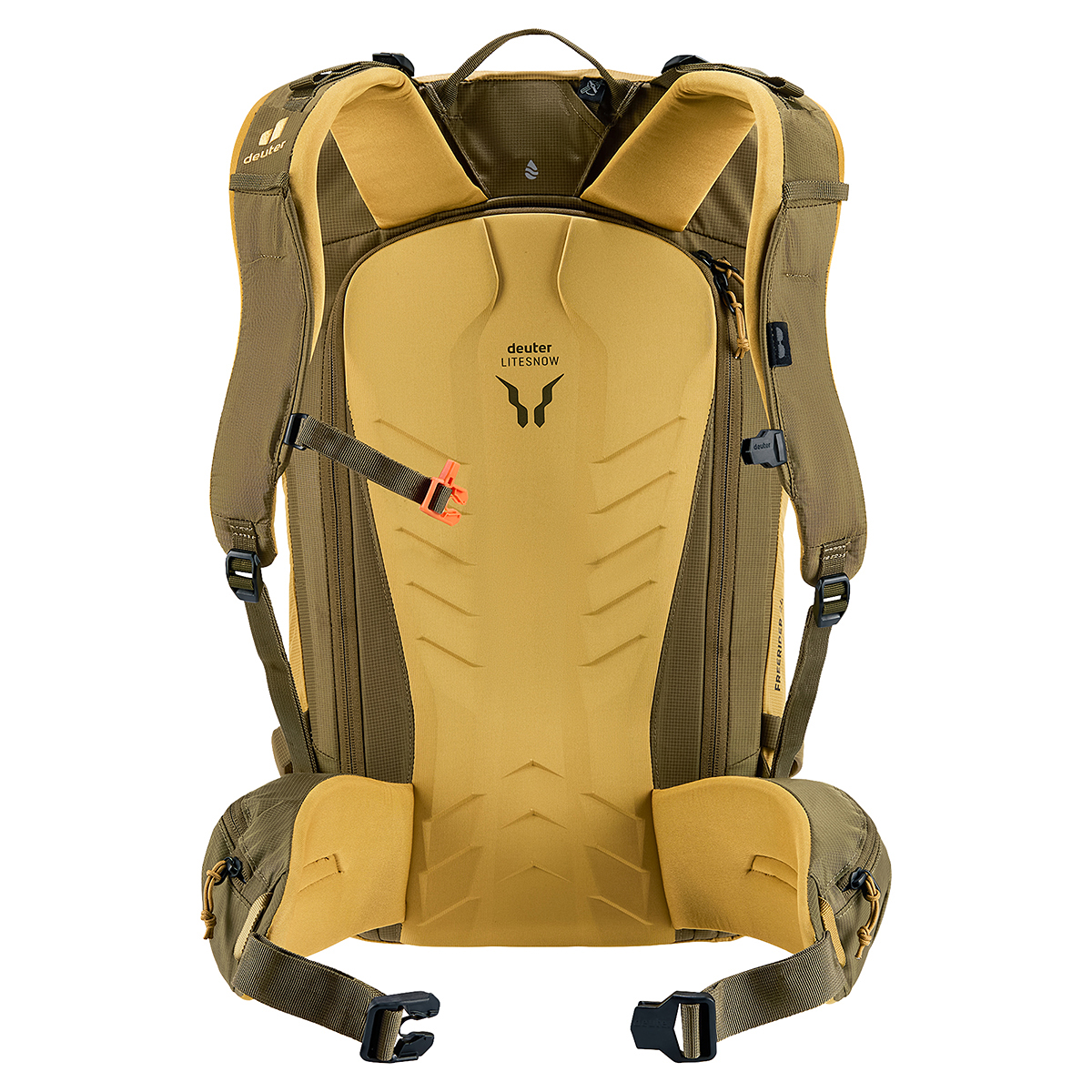 サバンナ×ノリ