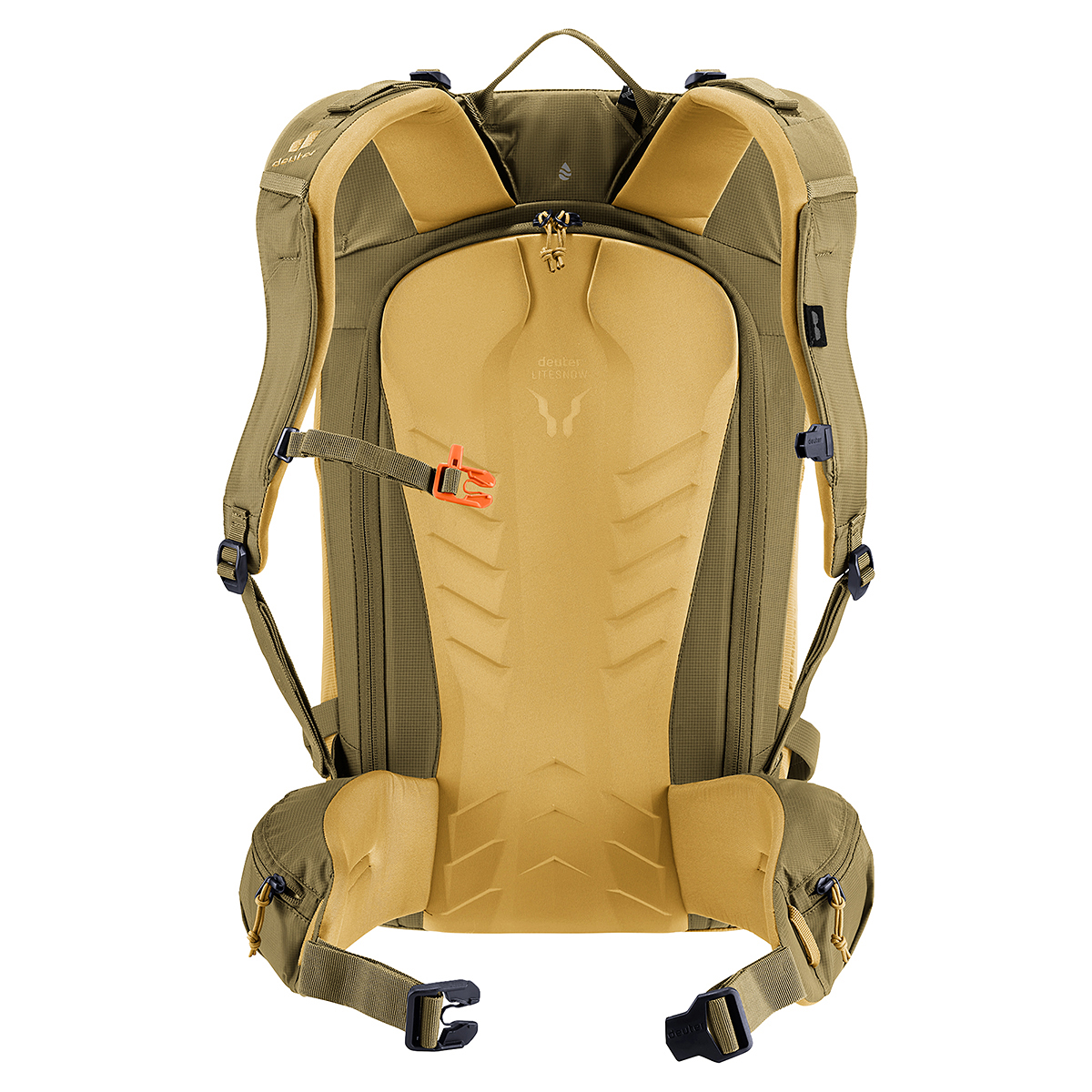 サバンナ×ノリ