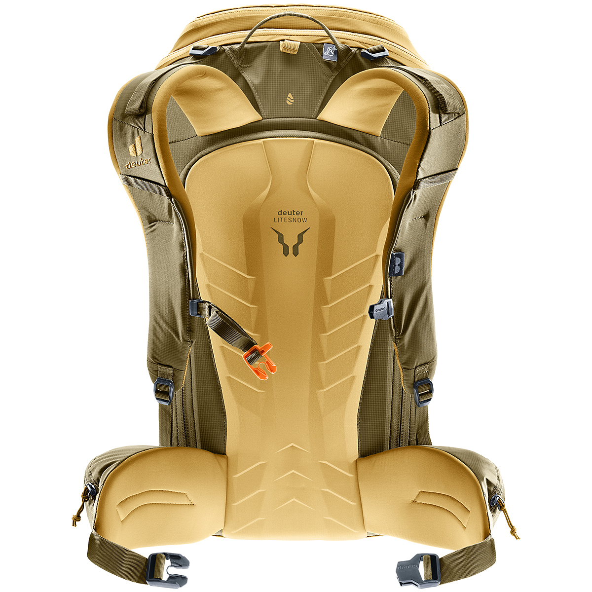 サバンナ×ノリ