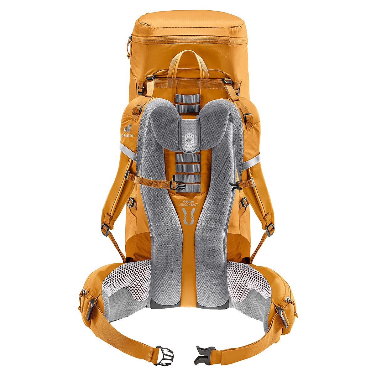 アンバー×メープル