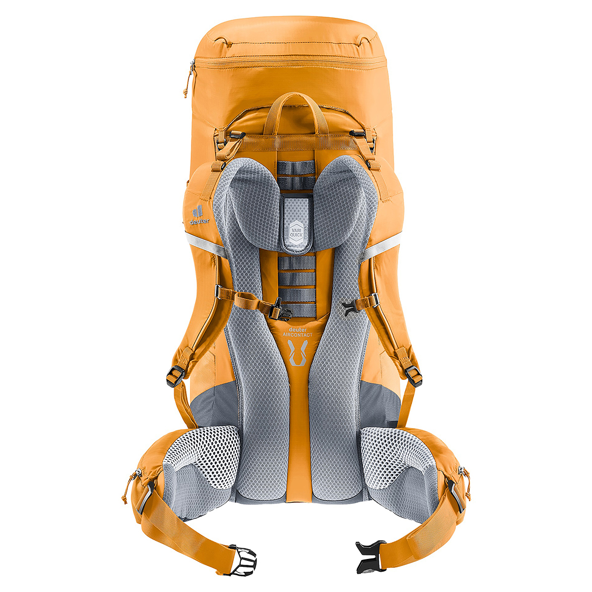 アンバー×メープル