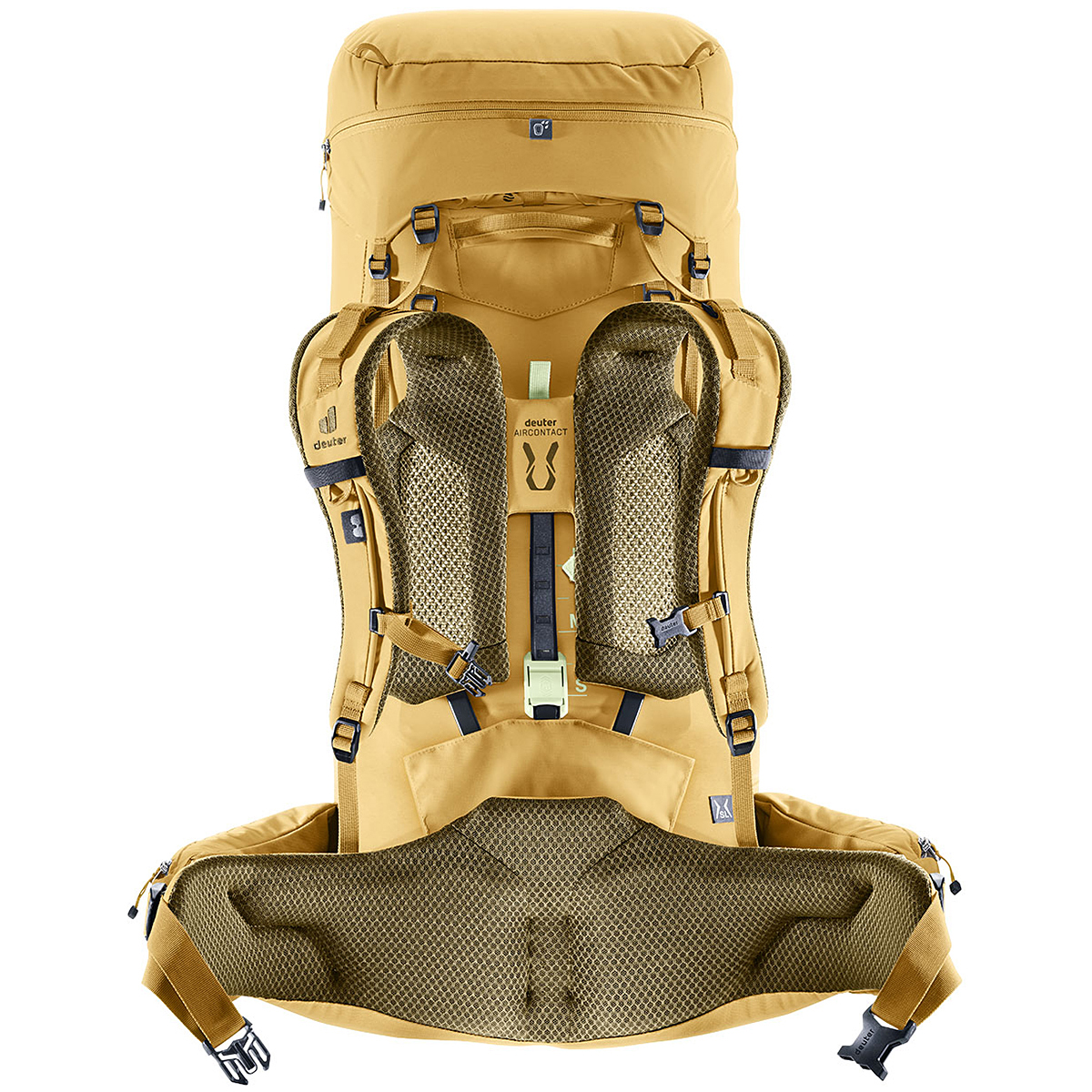 サバンナ×ノリ