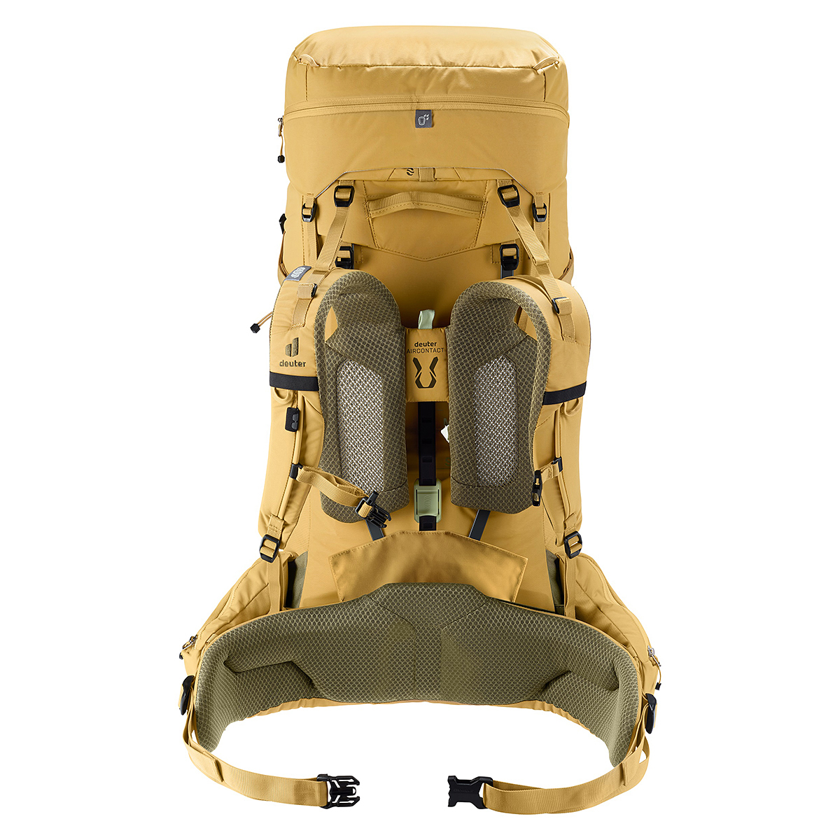 サバンナ×ノリ