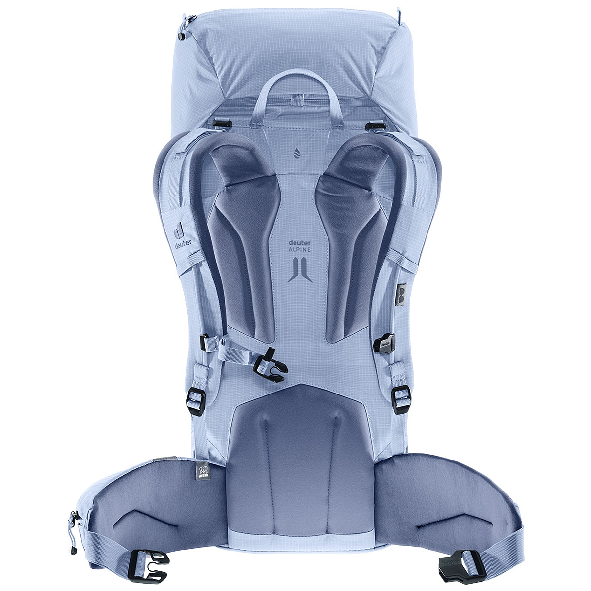 ポーラ×ブルージェイ