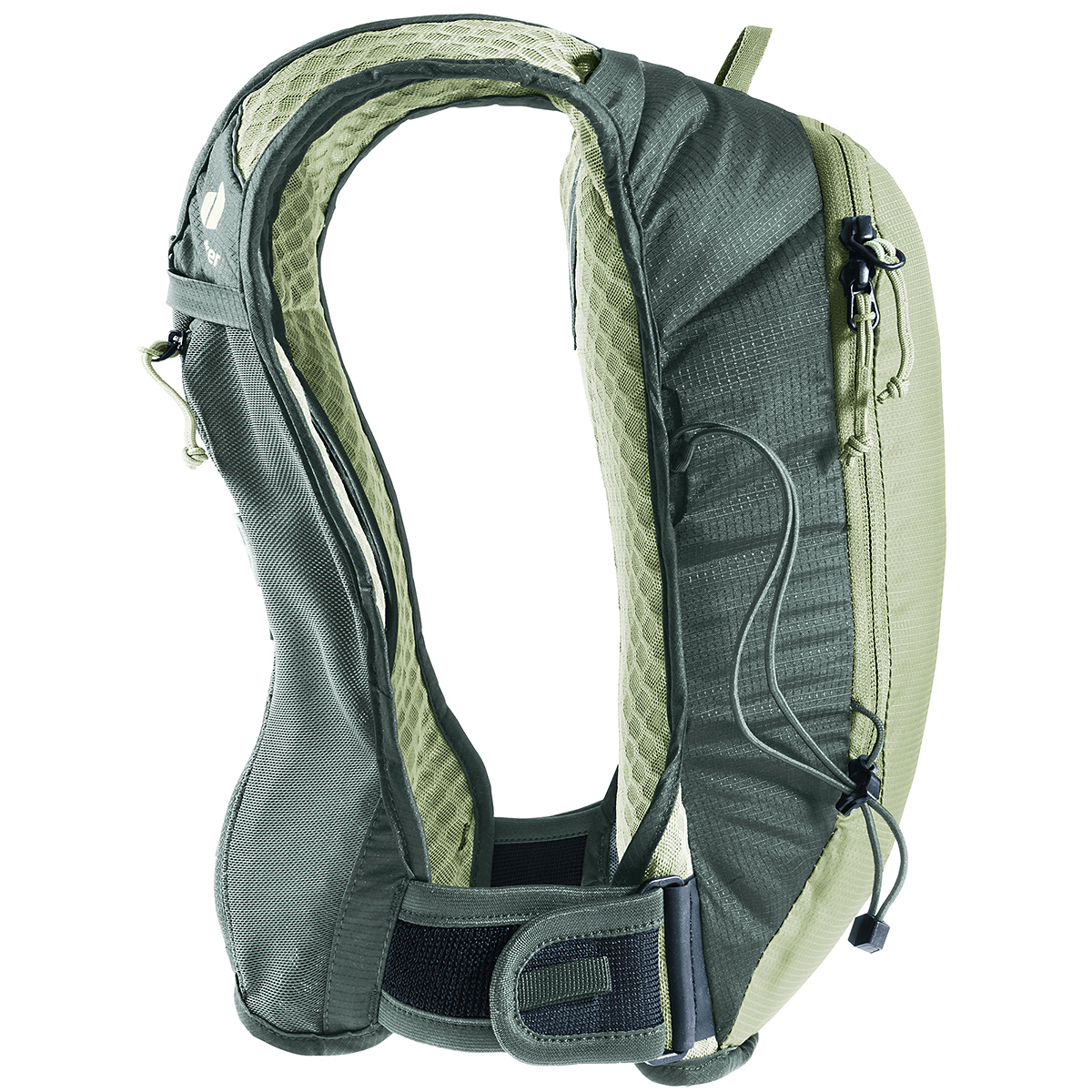 グローブ×アイビー