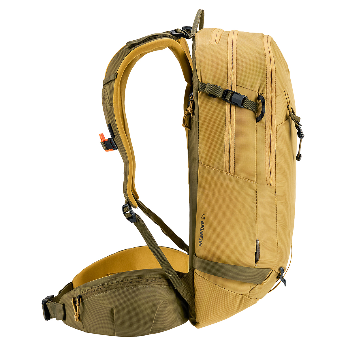 サバンナ×ノリ