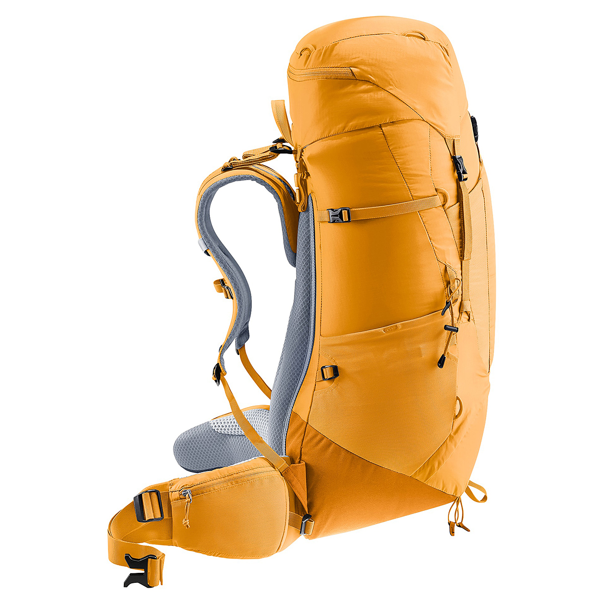 アンバー×メープル