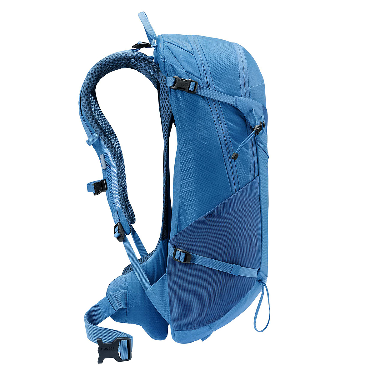 ナイトブルー×バルチック