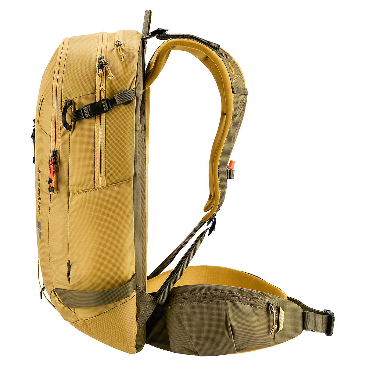 サバンナ×ノリ