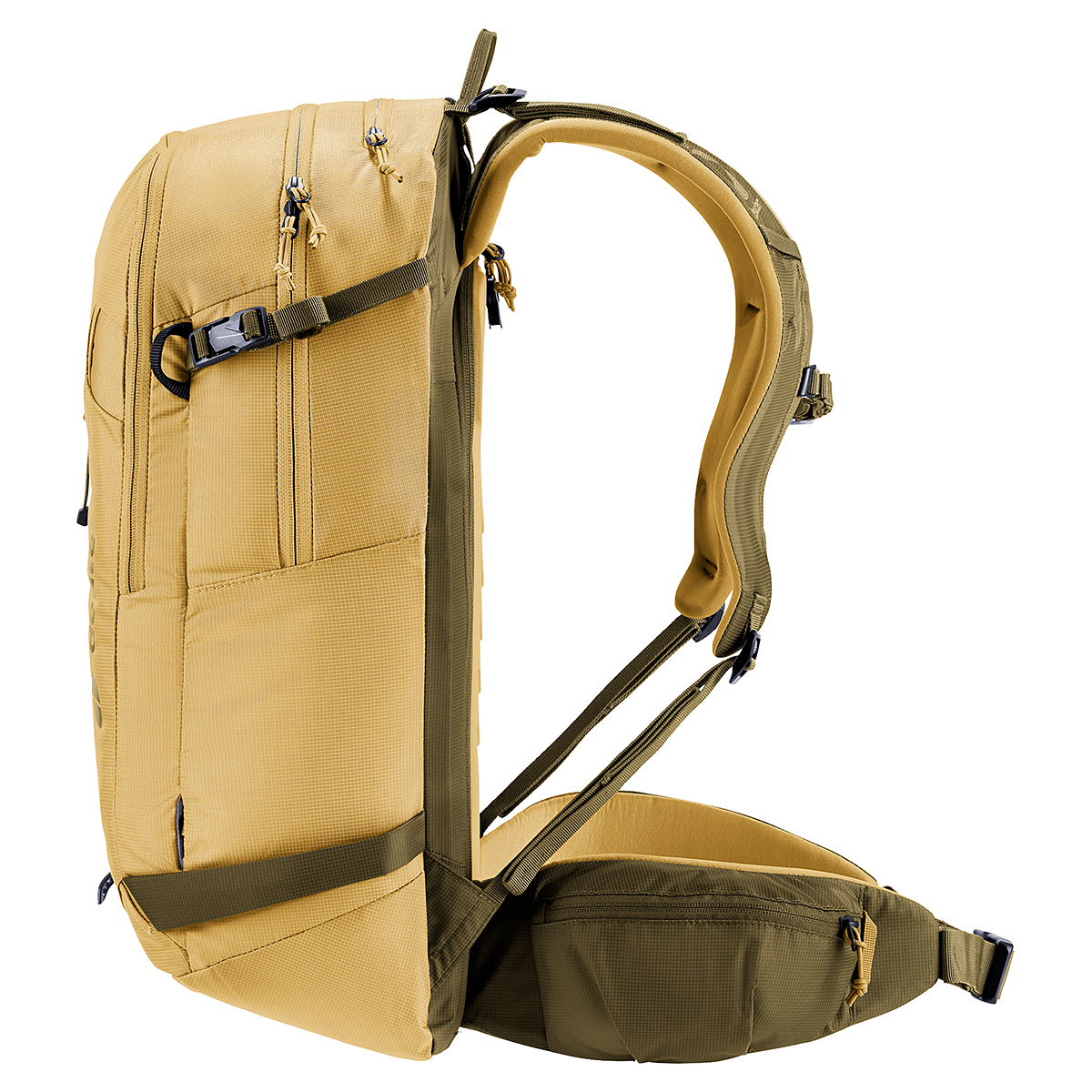 サバンナ×ノリ