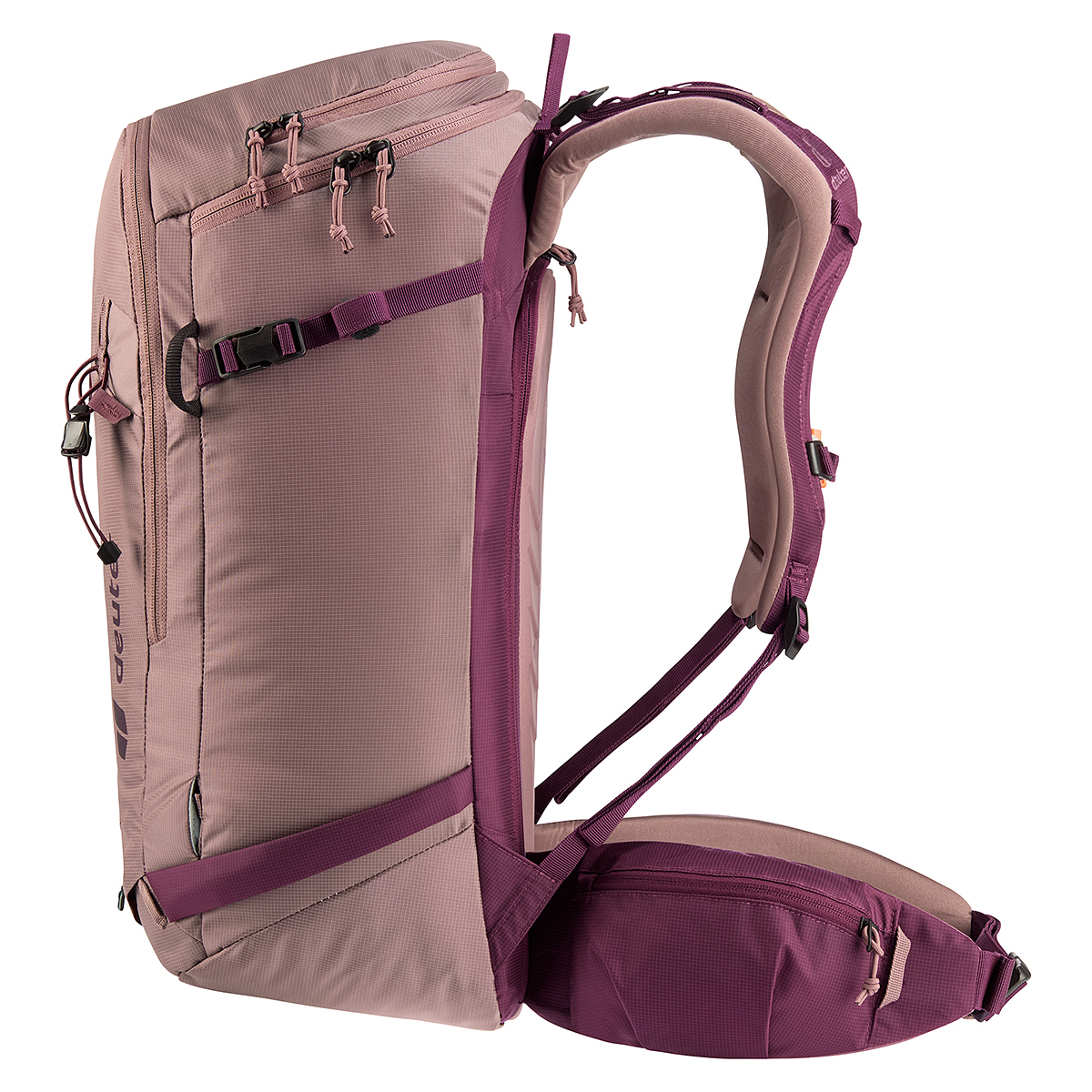 アッシュローズ×クラシック