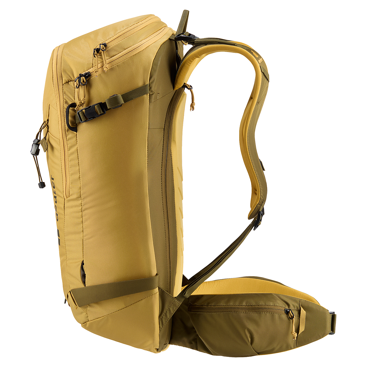 サバンナ×ノリ