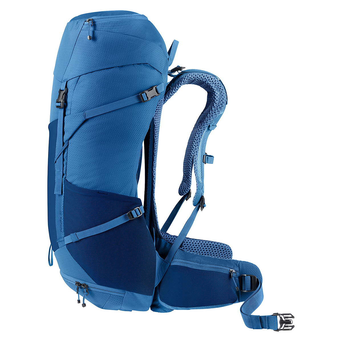 ナイトブルー×バルチック