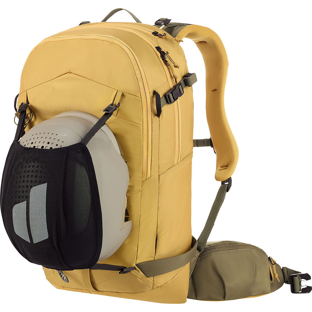 サバンナ×ノリ