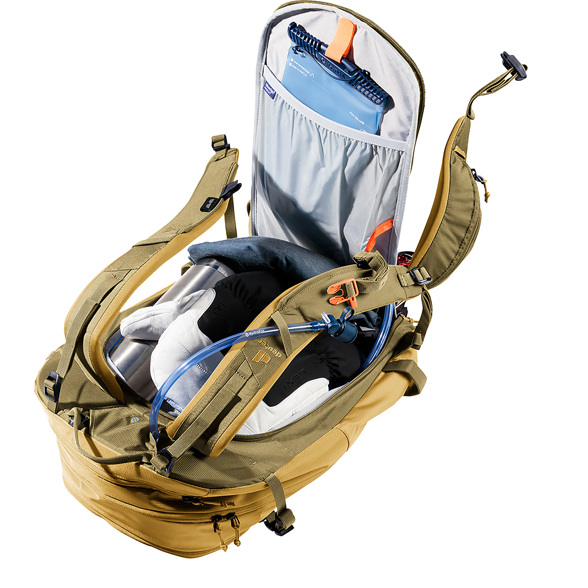 サバンナ×ノリ