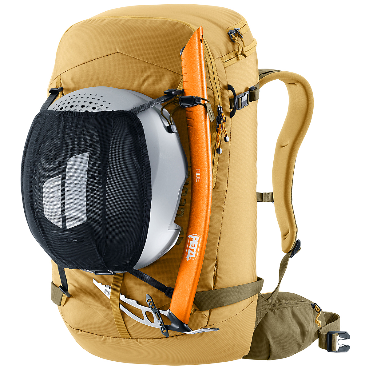 サバンナ×ノリ