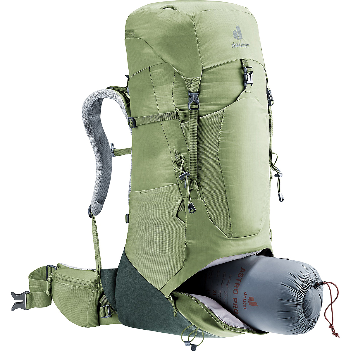 グローブ×アイビー