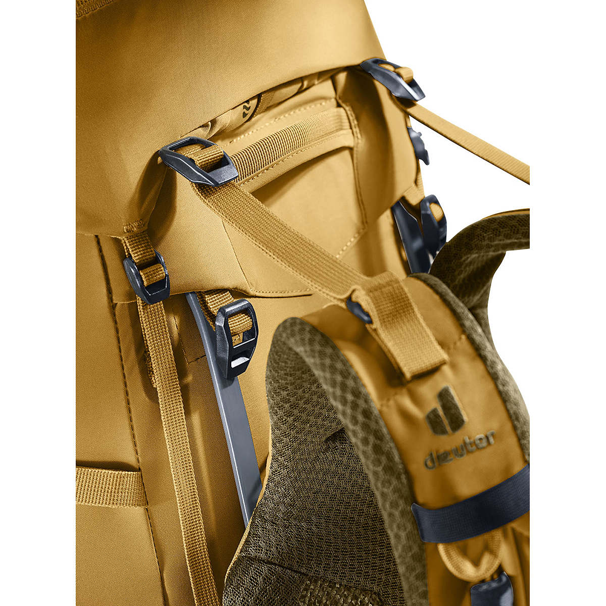 サバンナ×ノリ