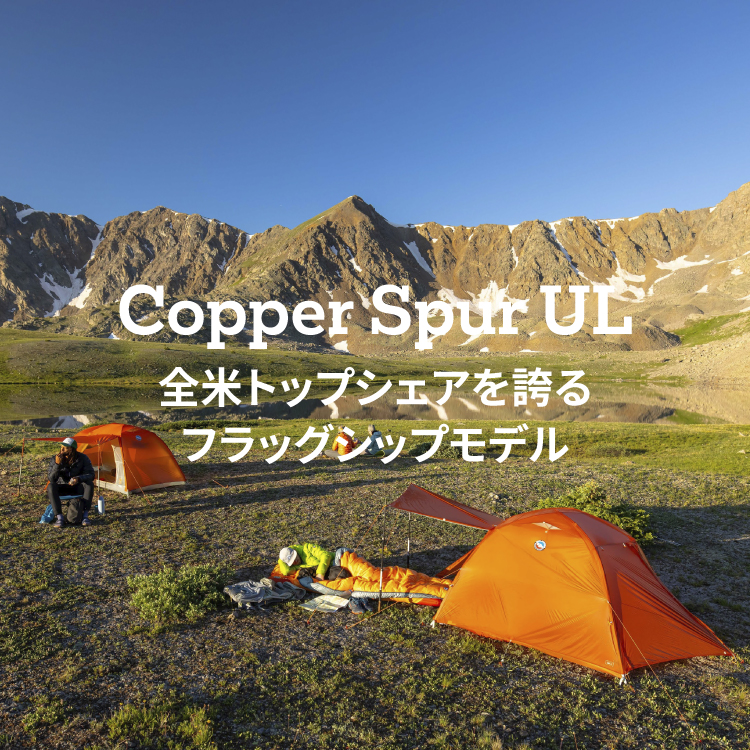 BigAgnes