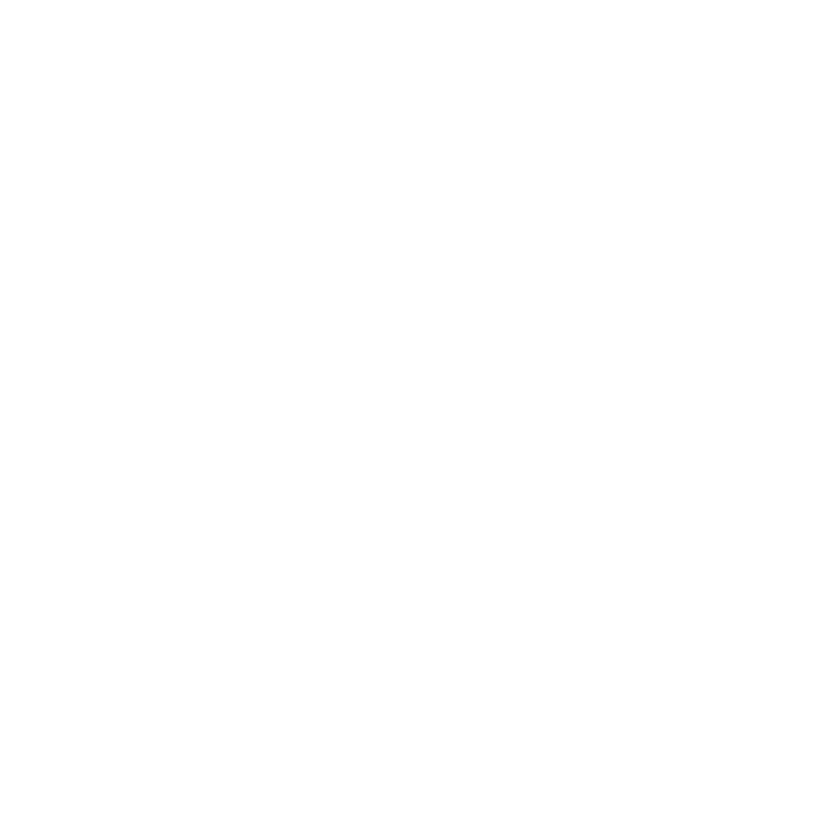 logo_vssl